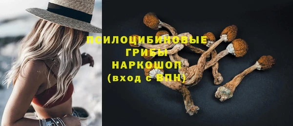 прущие грибы Абинск