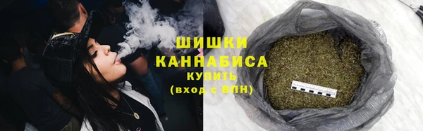трава Пересвет