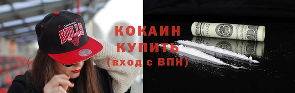 прущие грибы Абинск