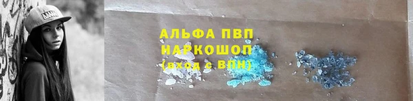 прущие грибы Абинск
