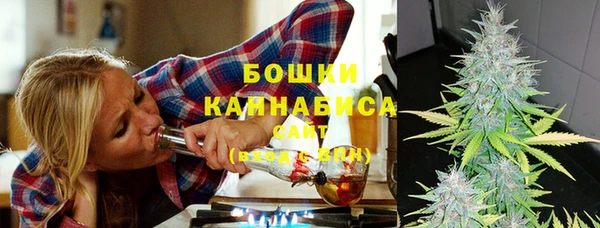 прущие грибы Абинск